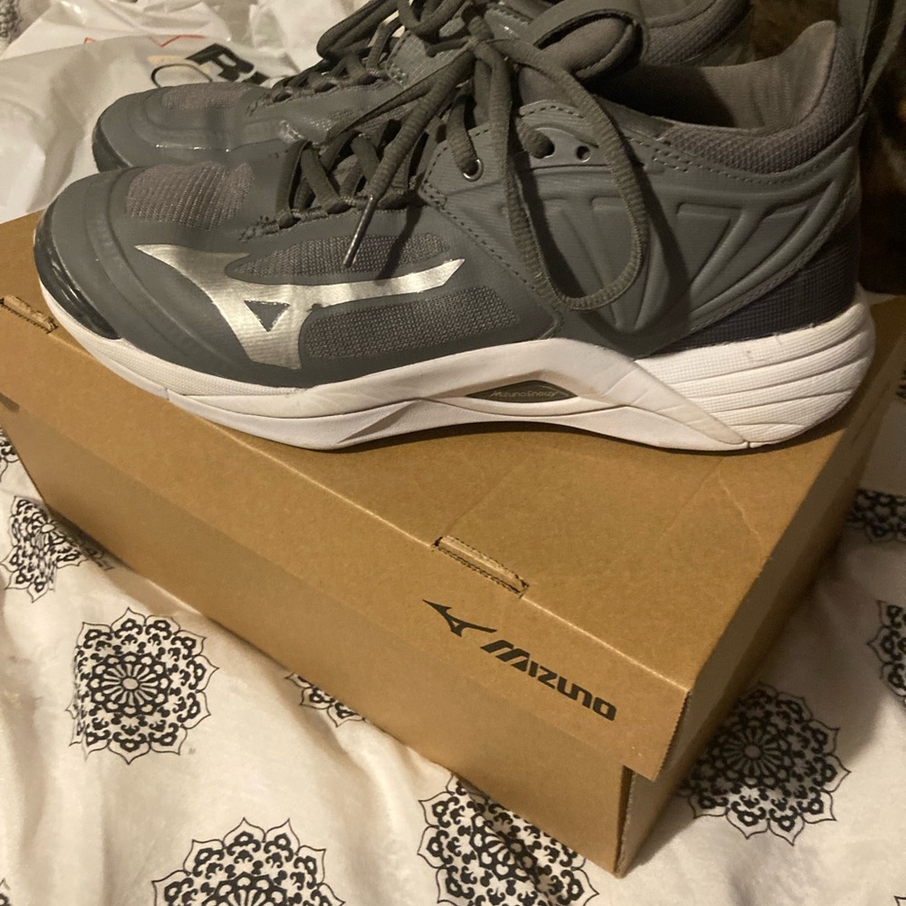 Mizuno Charcoal and Metallic Running Shoes